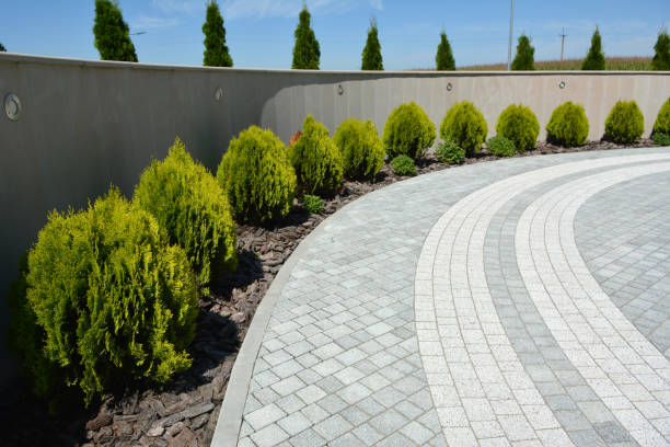 Best Decorative Driveway Pavers  in Monterey Park, CA